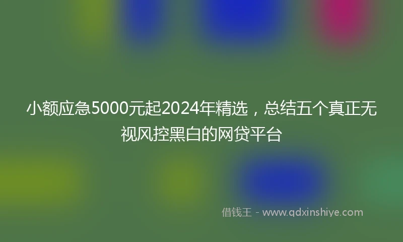 小额应急5000元起2024年精选，总结五个真正无视风控黑白的网贷平台