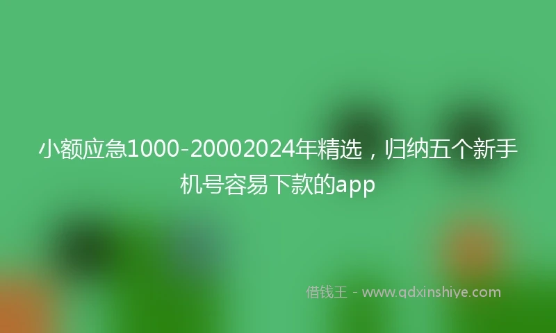 小额应急1000-20002024年精选，归纳五个新手机号容易下款的app