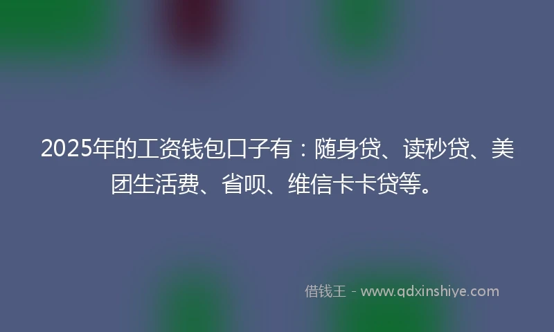 2025年的工资钱包口子有：随身贷、读秒贷、美团生活费、省呗、维信卡卡贷等。