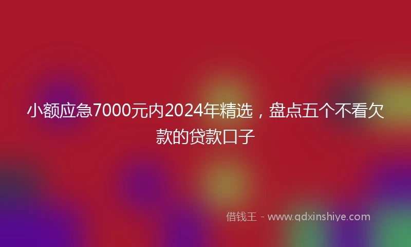 小额应急7000元内2024年精选，盘点五个不看欠款的贷款口子