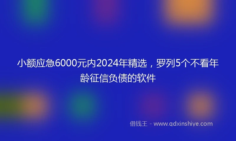 小额应急6000元内2024年精选，罗列5个不看年龄征信负债的软件