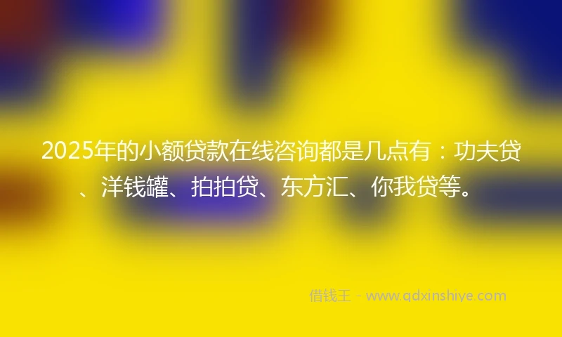 2025年的小额贷款在线咨询都是几点有：功夫贷、洋钱罐、拍拍贷、东方汇、你我贷等。