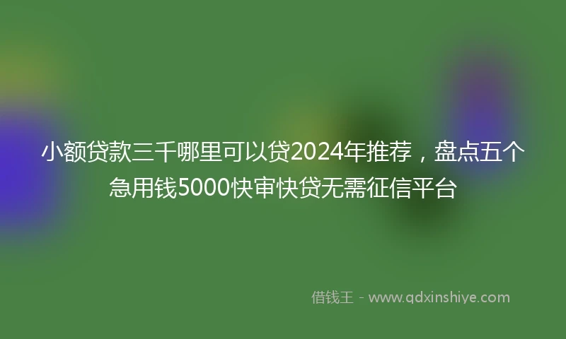 小额贷款三千哪里可以贷2024年推荐，盘点五个急用钱5000快审快贷无需征信平台
