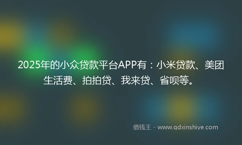 2025年的小众贷款平台APP有：小米贷款、美团生活费、拍拍贷、我来贷、省呗等。