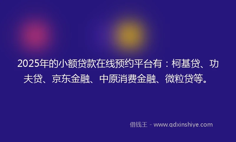 2025年的小额贷款在线预约平台有：柯基贷、功夫贷、京东金融、中原消费金融、微粒贷等。