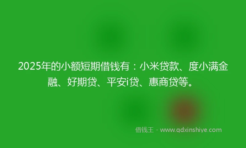 2025年的小额短期借钱有：小米贷款、度小满金融、好期贷、平安i贷、惠商贷等。