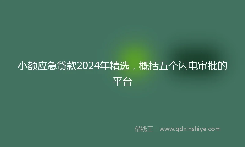 小额应急贷款2024年精选，概括五个闪电审批的平台