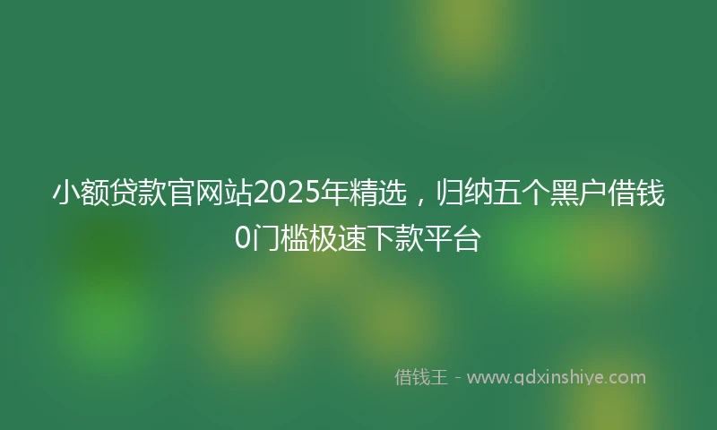 小额贷款官网站2025年精选，归纳五个黑户借钱0门槛极速下款平台