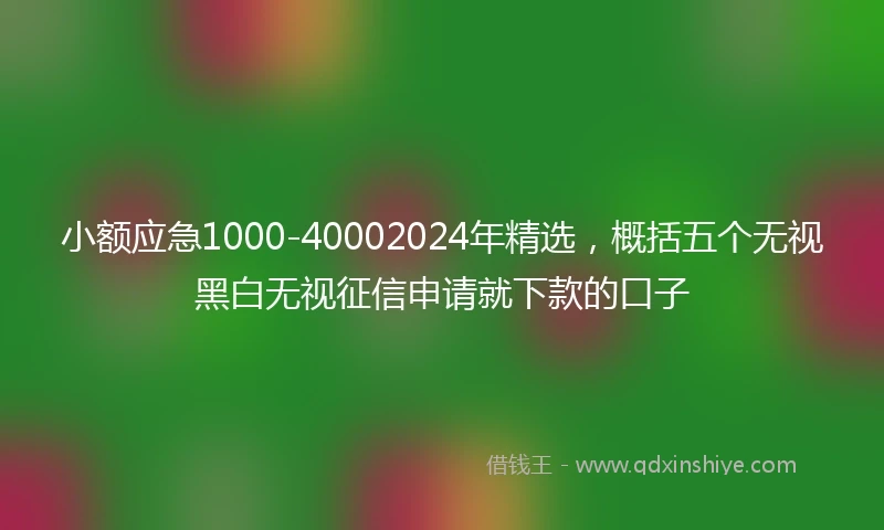 小额应急1000-40002024年精选，概括五个无视黑白无视征信申请就下款的口子
