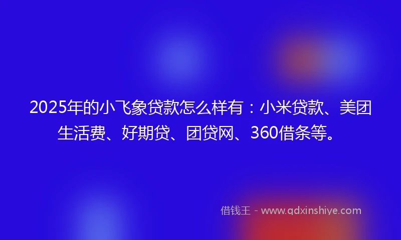 2025年的小飞象贷款怎么样有：小米贷款、美团生活费、好期贷、团贷网、360借条等。