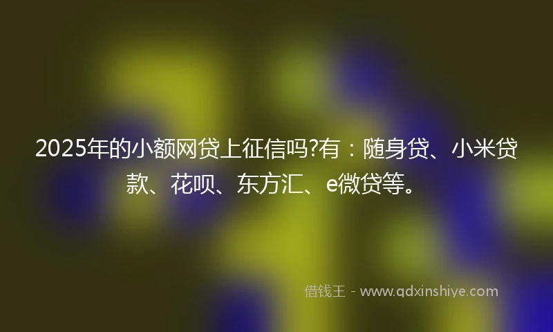 2025年的小额网贷上征信吗?有：随身贷、小米贷款、花呗、东方汇、e微贷等。