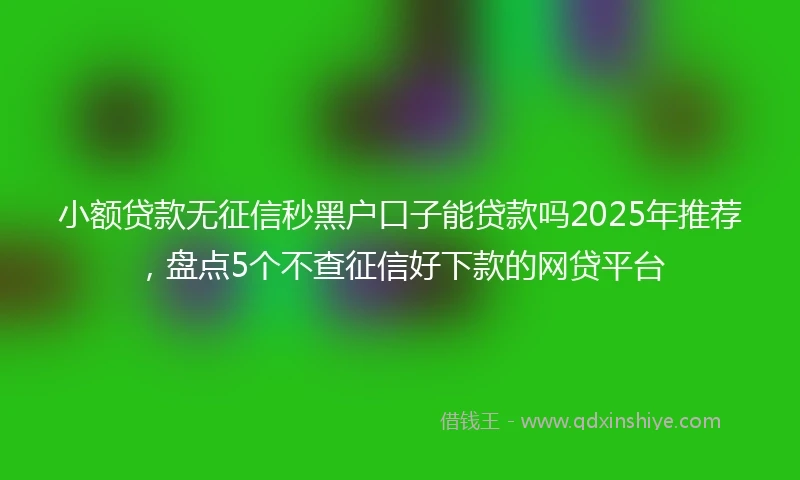 小额贷款无征信秒黑户口子能贷款吗2025年推荐，盘点5个不查征信好下款的网贷平台