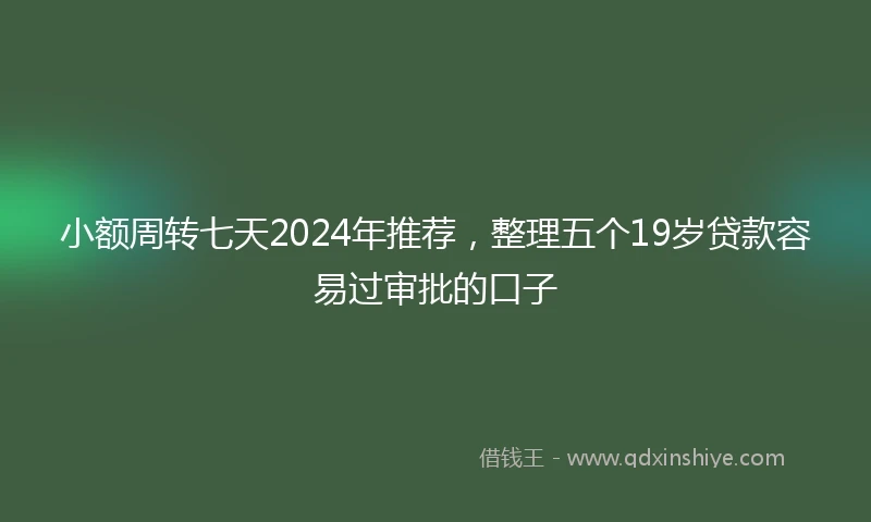 小额周转七天2024年推荐，整理五个19岁贷款容易过审批的口子
