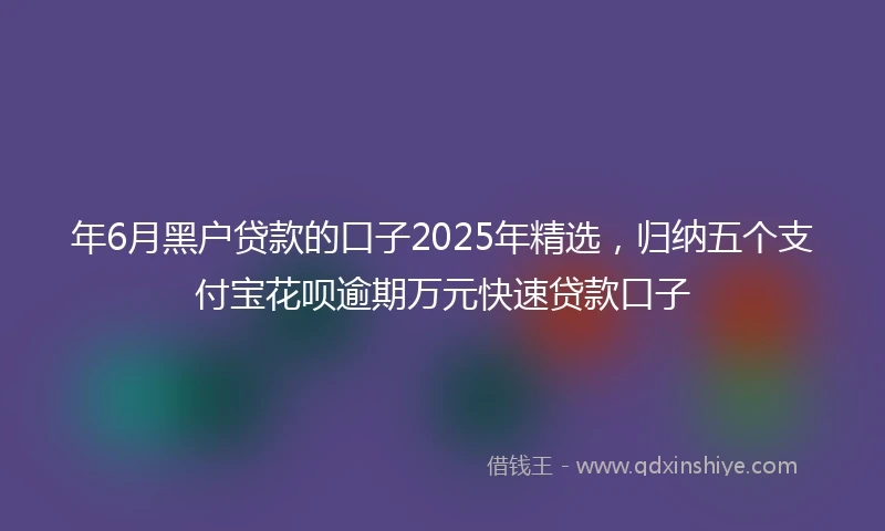 年6月黑户贷款的口子2025年精选，归纳五个支付宝花呗逾期万元快速贷款口子