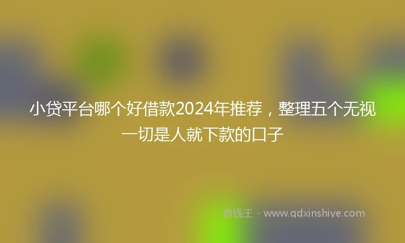 小贷平台哪个好借款2024年推荐，整理五个无视一切是人就下款的口子