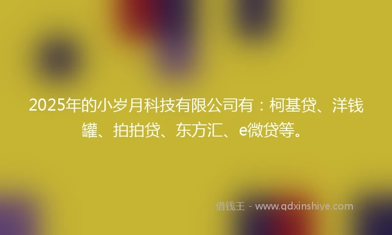 2025年的小岁月科技有限公司有：柯基贷、洋钱罐、拍拍贷、东方汇、e微贷等。