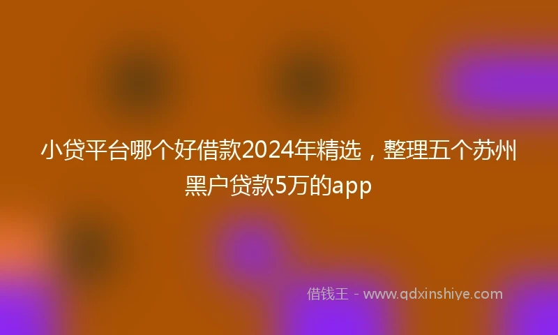 小贷平台哪个好借款2024年精选，整理五个苏州黑户贷款5万的app