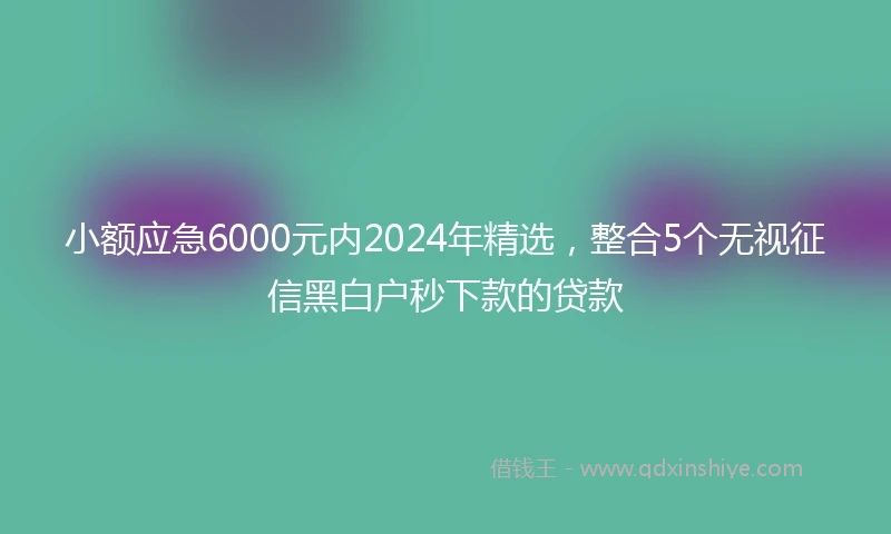 小额应急6000元内2024年精选，整合5个无视征信黑白户秒下款的贷款