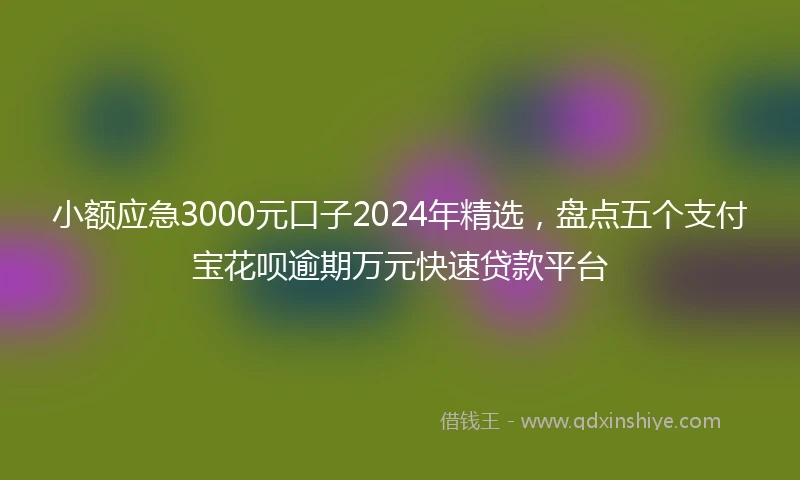 小额应急3000元口子2024年精选，盘点五个支付宝花呗逾期万元快速贷款平台
