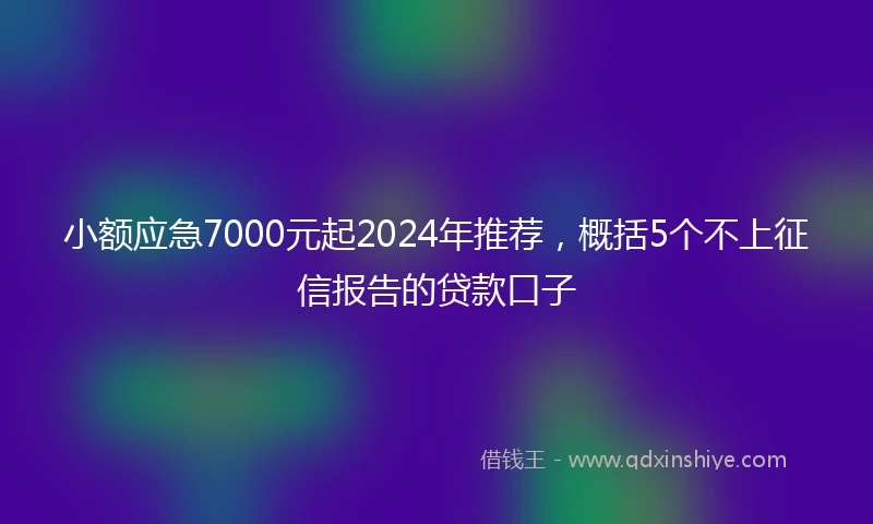 小额应急7000元起2024年推荐，概括5个不上征信报告的贷款口子