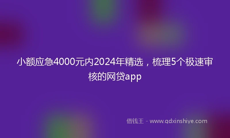 小额应急4000元内2024年精选，梳理5个极速审核的网贷app