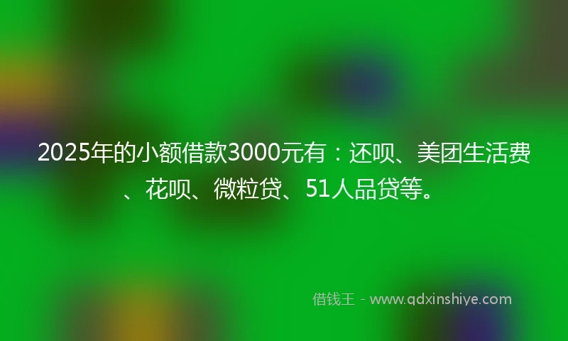 2025年的小额借款3000元有：还呗、美团生活费、花呗、微粒贷、51人品贷等。