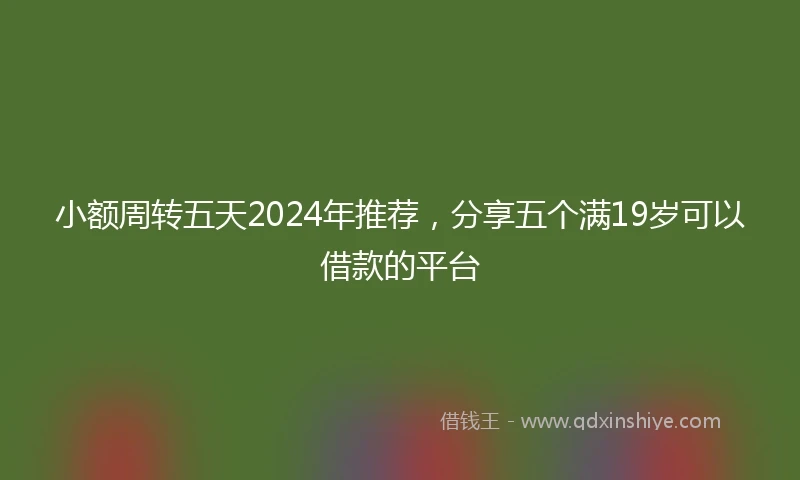 小额周转五天2024年推荐，分享五个满19岁可以借款的平台