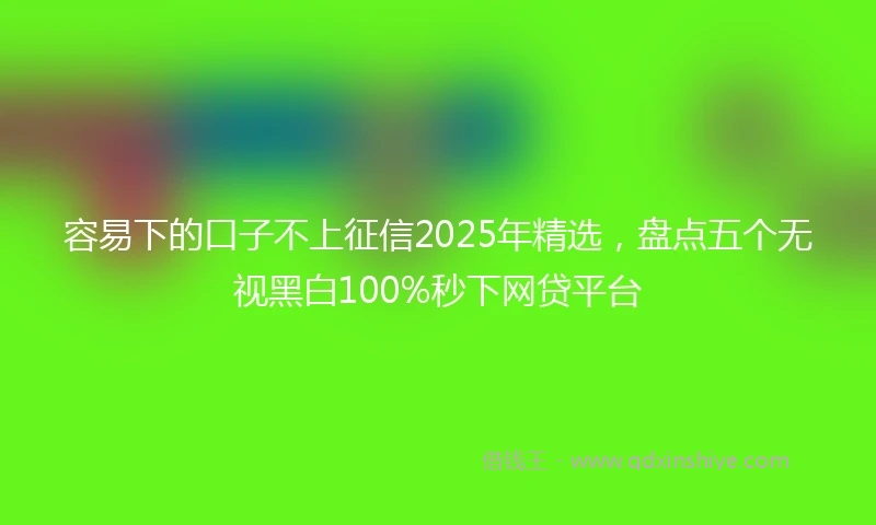 容易下的口子不上征信2025年精选，盘点五个无视黑白100%秒下网贷平台