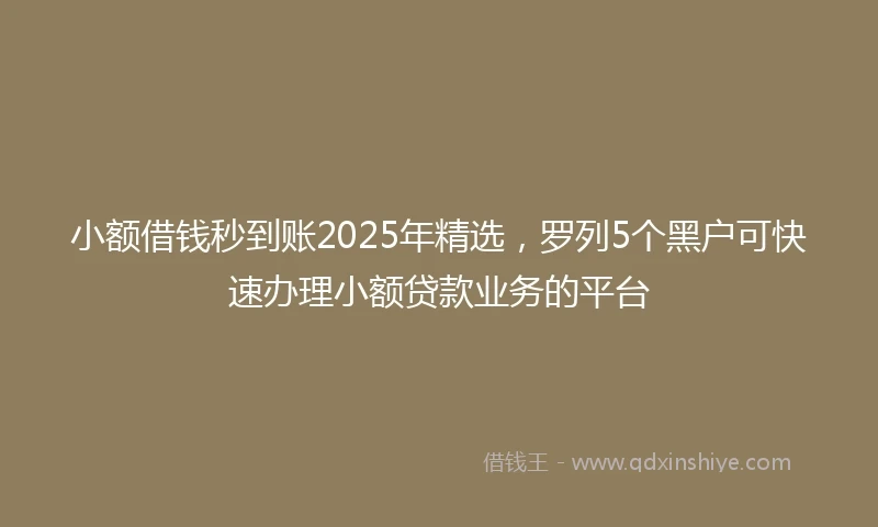 小额借钱秒到账2025年精选，罗列5个黑户可快速办理小额贷款业务的平台