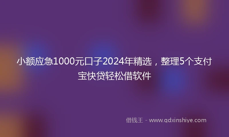 小额应急1000元口子2024年精选，整理5个支付宝快贷轻松借软件