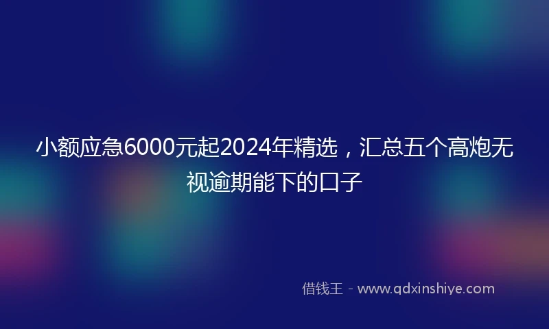 小额应急6000元起2024年精选，汇总五个高炮无视逾期能下的口子