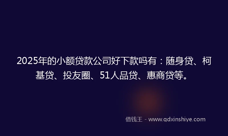 2025年的小额贷款公司好下款吗有：随身贷、柯基贷、投友圈、51人品贷、惠商贷等。