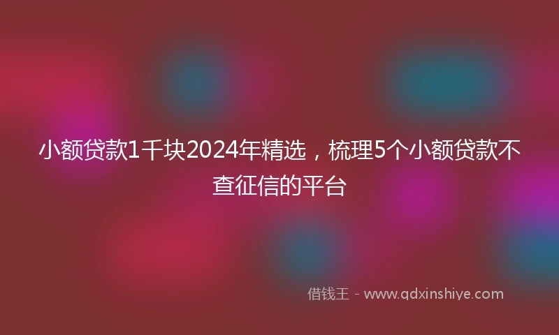 小额贷款1千块2024年精选，梳理5个小额贷款不查征信的平台