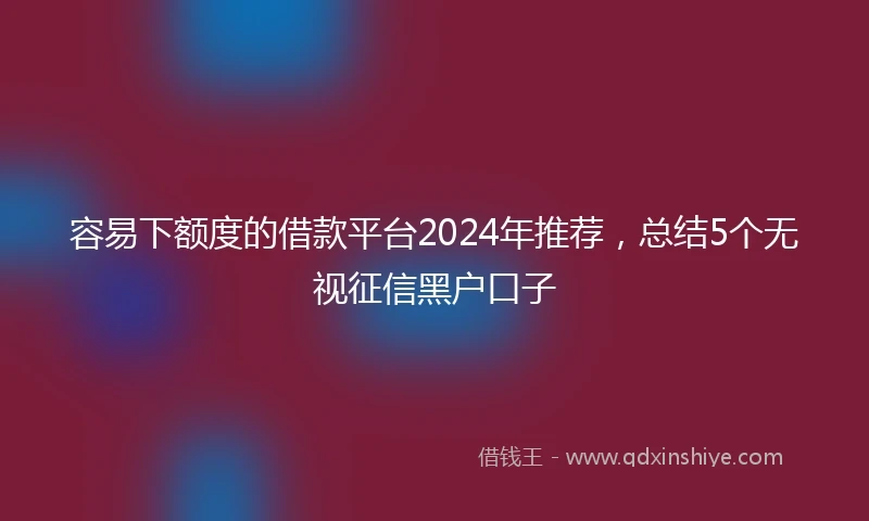 容易下额度的借款平台2024年推荐,总结5个无视征信黑户口子