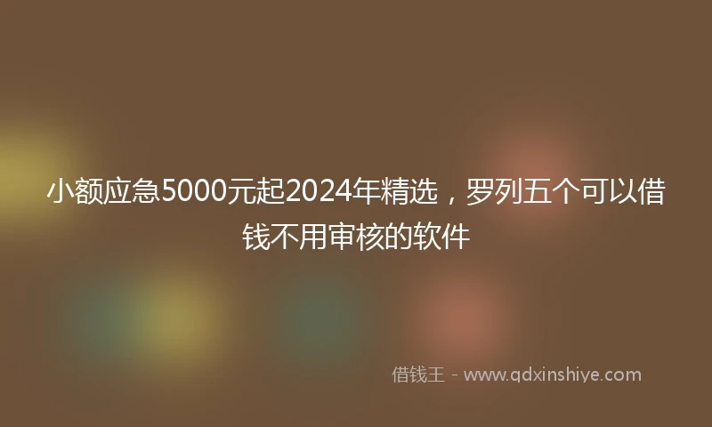 小额应急5000元起2024年精选，罗列五个可以借钱不用审核的软件