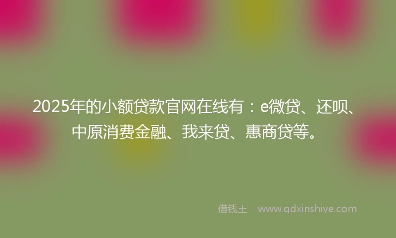 2025年的小额贷款官网在线有：e微贷、还呗、中原消费金融、我来贷、惠商贷等。