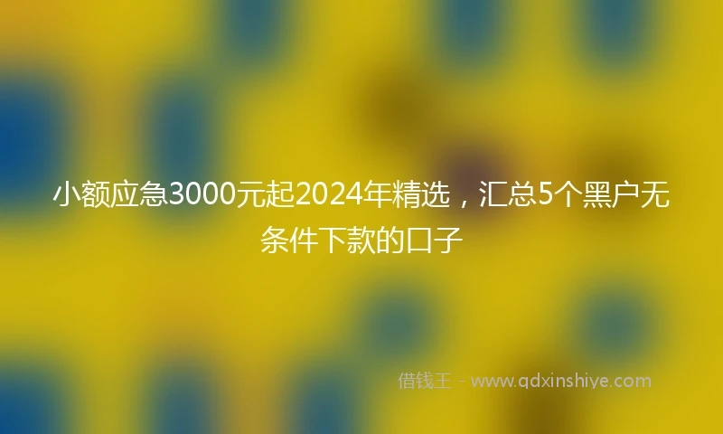 小额应急3000元起2024年精选，汇总5个黑户无条件下款的口子