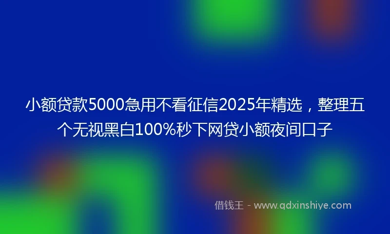 小额贷款5000急用不看征信2025年精选，整理五个无视黑白100%秒下网贷小额夜间口子