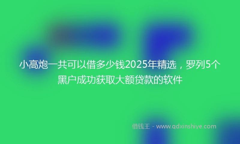 小高炮一共可以借多少钱2025年精选，罗列5个黑户成功获取大额贷款的软件