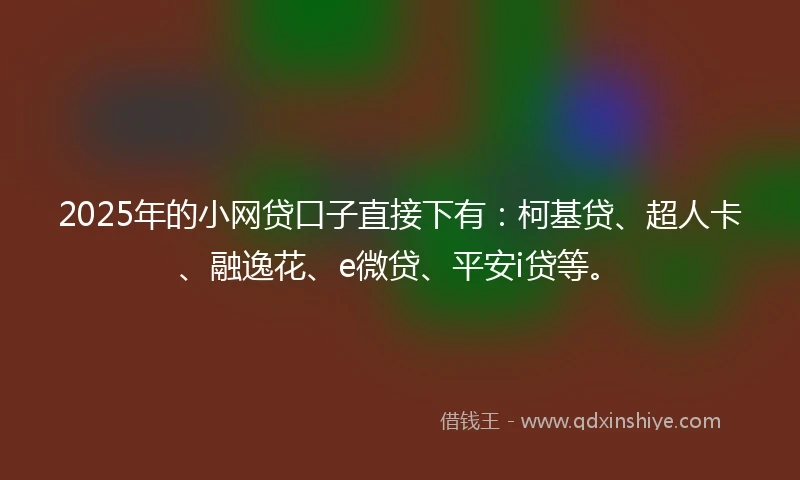 2025年的小网贷口子直接下有：柯基贷、超人卡、融逸花、e微贷、平安i贷等。