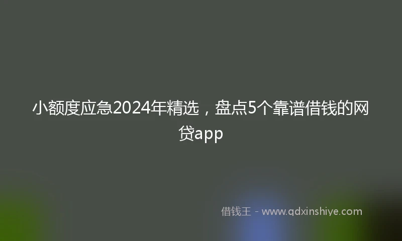 小额度应急2024年精选，盘点5个靠谱借钱的网贷app