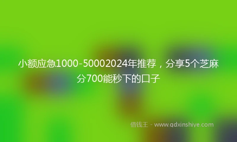 小额应急1000-50002024年推荐，分享5个芝麻分700能秒下的口子