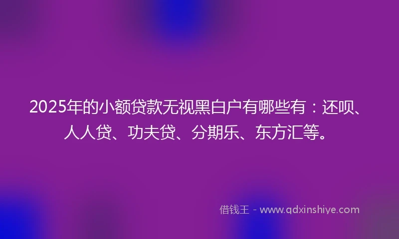 2025年的小额贷款无视黑白户有哪些有：还呗、人人贷、功夫贷、分期乐、东方汇等。