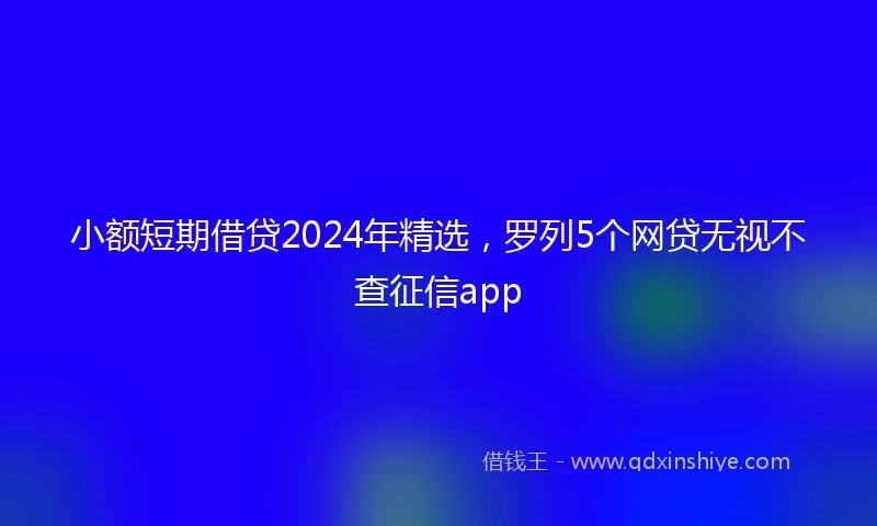 小额短期借贷2024年精选，罗列5个网贷无视不查征信app