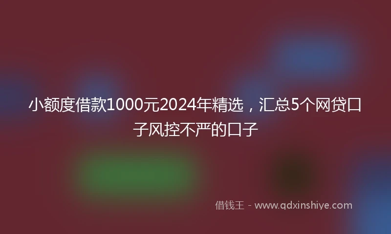 小额度借款1000元2024年精选,汇总5个网贷口子风控不严的口子