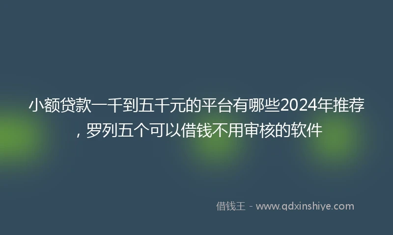 小额贷款一千到五千元的平台有哪些2024年推荐，罗列五个可以借钱不用审核的软件