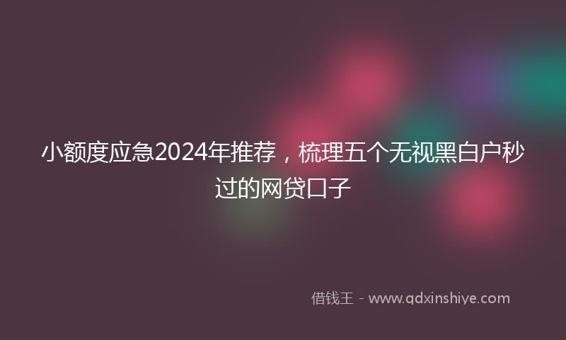 小额度应急2024年推荐，梳理五个无视黑白户秒过的网贷口子