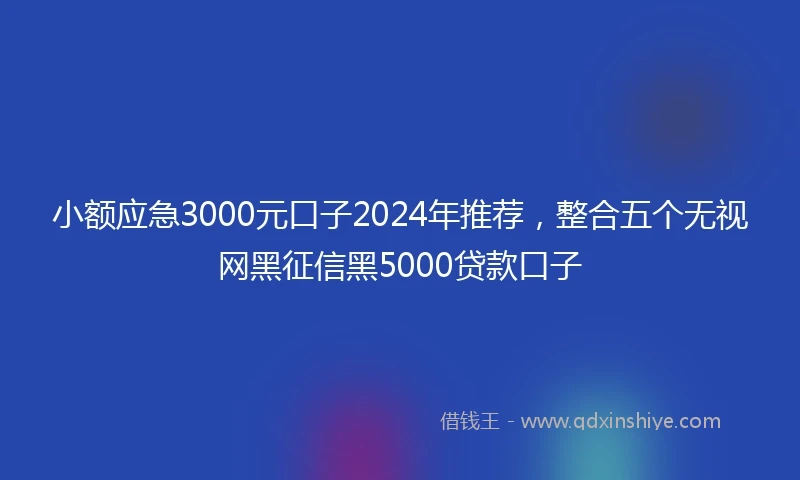 小额应急3000元口子2024年推荐，整合五个无视网黑征信黑5000贷款口子