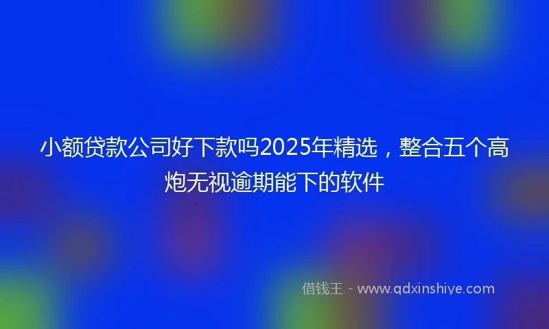 小额贷款公司好下款吗2025年精选，整合五个高炮无视逾期能下的软件