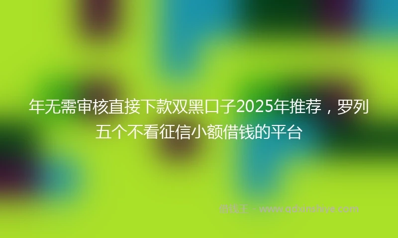 年无需审核直接下款双黑口子2025年推荐，罗列五个不看征信小额借钱的平台